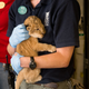 Illustration for article titled ZOMG BABY LIONS!!!